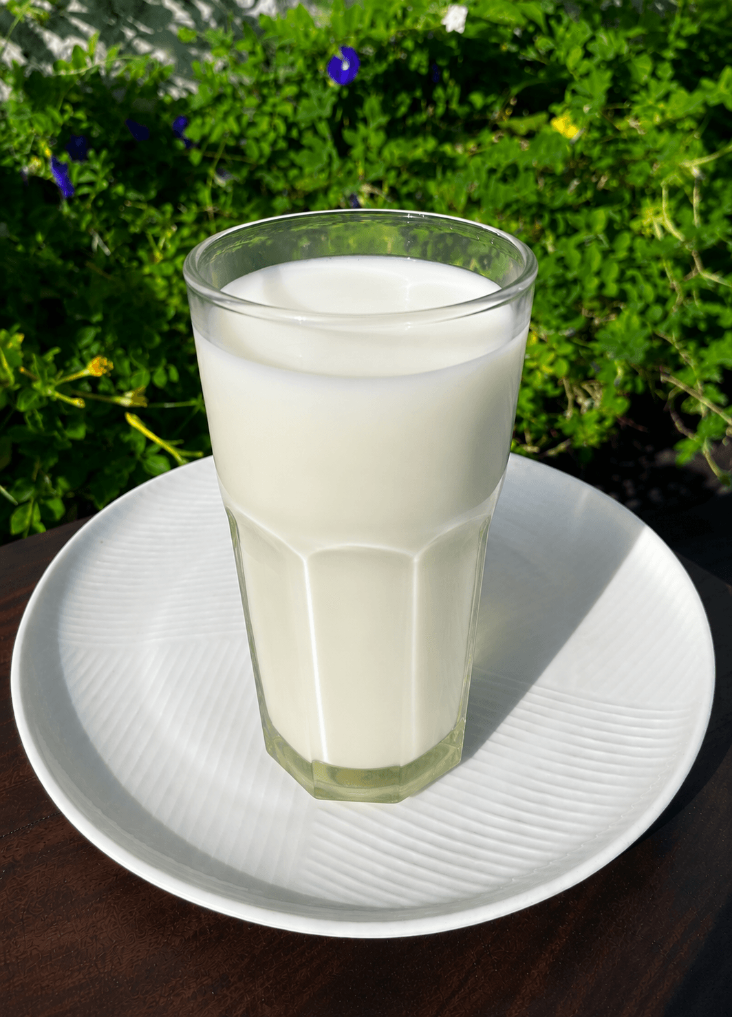 Susu Putih